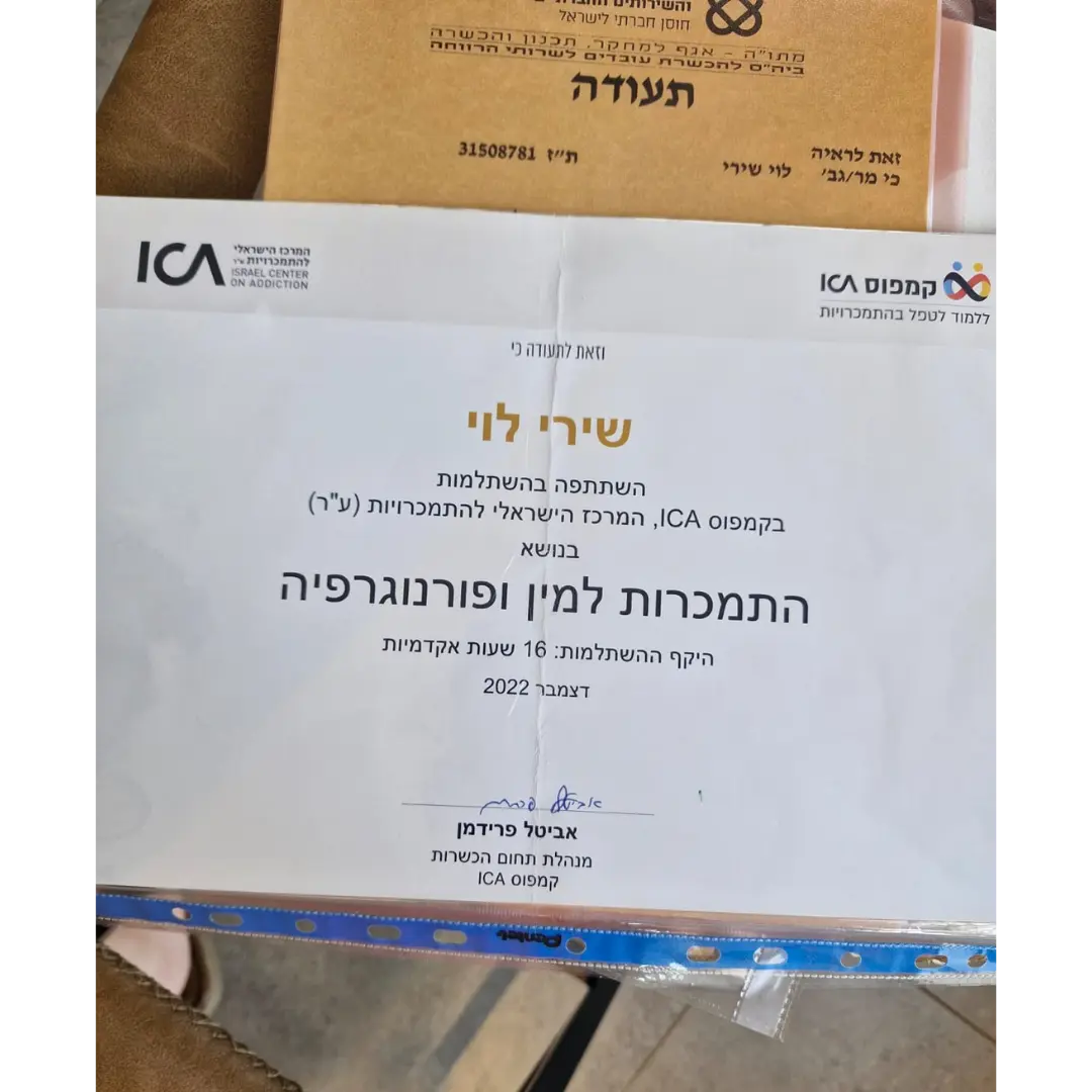 שירי לוי תעודות 1