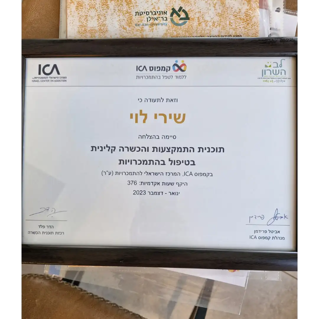 שירי לוי תעודות 3